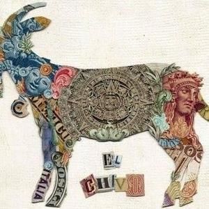 Meet your Posher, Jarrius